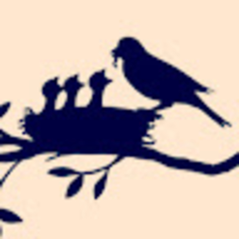 Meet your Posher, Mama bird's nest
